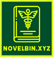 NovelBin.Xyz